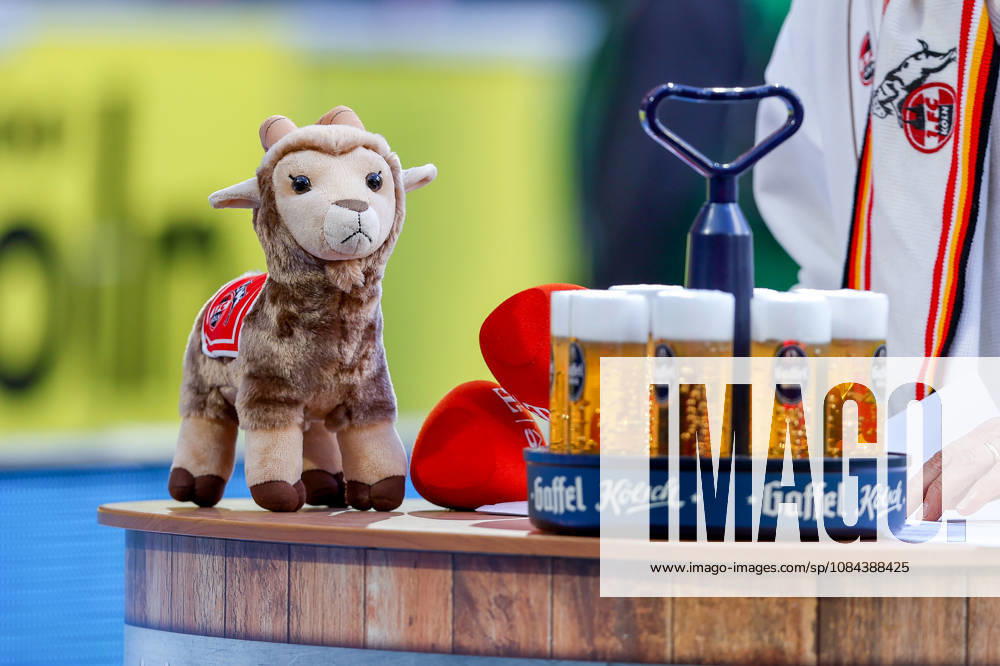 2026.10.11, Fußball, Bundesliga, 1. FC Köln - Borussia Mönchengladbach, RheinEnergieSTADION, 5.Spieltag, Saison 2026 2027: Geißbock Hennes Maskottchen mit Bier auf einer Theke DFB regulations prohibit any use of photographs as image sequences and or quasi-video. Photo: WilkowskixPressefotoKochx Nordrhein-Westfalen Deutschland