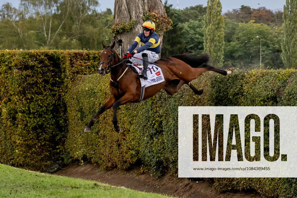 The 136th Grand Pardubice Steeplechase (6,900m), in Pardubice, Czech Republic, on October 11, 2026. Keith Michael Donoghue on Final Orders at the Taxis Ditch. (CTKxPhoto DavidxTanecek) CTKPhotoP2026101104534 CTKPhotoP2026101104534
