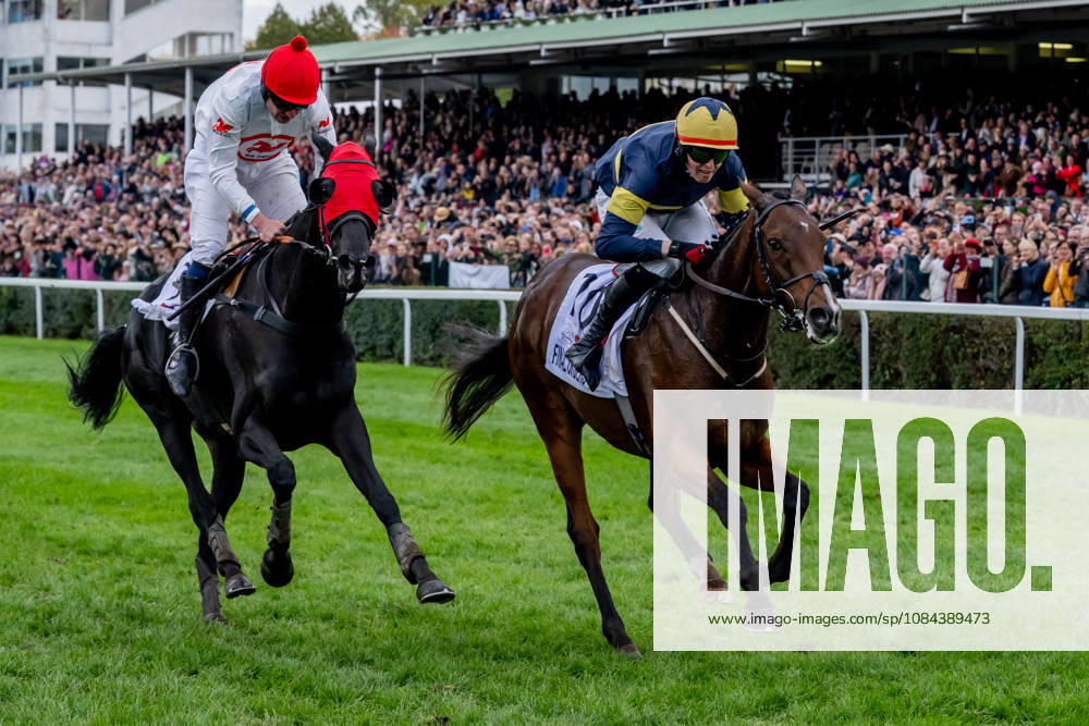 The 136th Grand Pardubice Steeplechase (6,900m), in Pardubice, Czech Republic, on October 11, 2026. From left: Jan Faltejsek on Godfrey and Keith Michael Donoghue on Final Orders. (CTKxPhoto DavidxTanecek) CTKPhotoP2026101104686 CTKPhotoP2026101104686