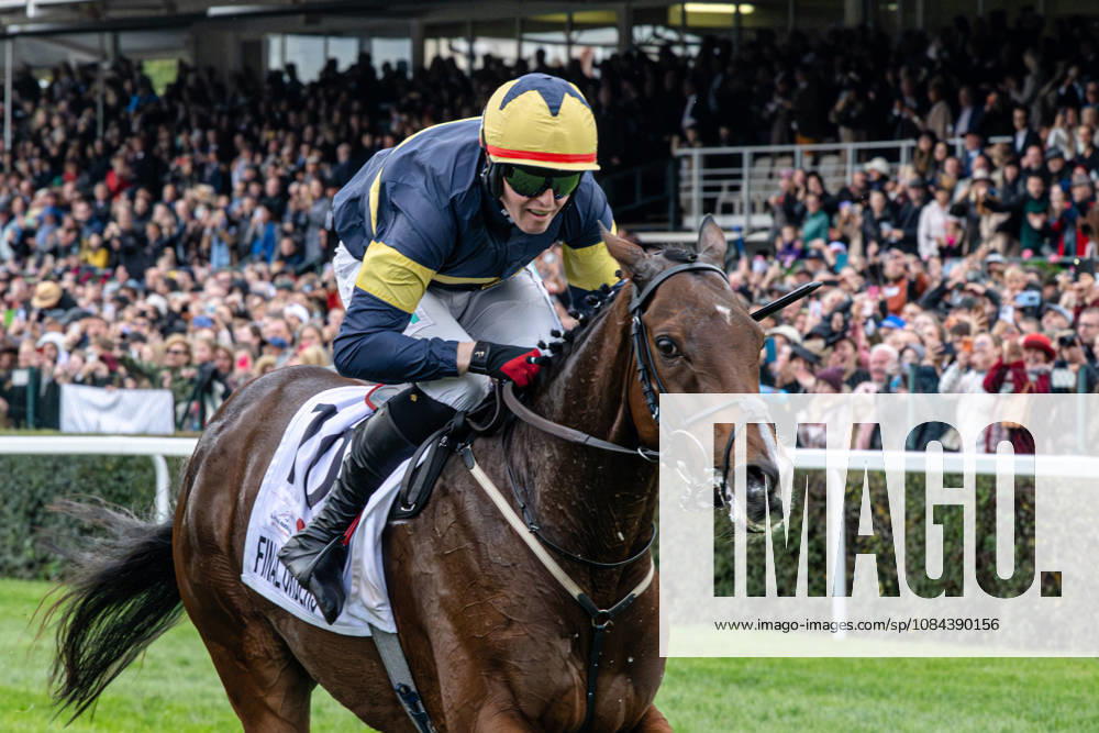 The 136th Grand Pardubice Steeplechase (6,900m), in Pardubice, Czech Republic, on October 11, 2026. Winner Keith Michael Donoghue on Final Orders. (CTKxPhoto DavidxTanecek) CTKPhotoP2026101104904 CTKPhotoP2026101104904