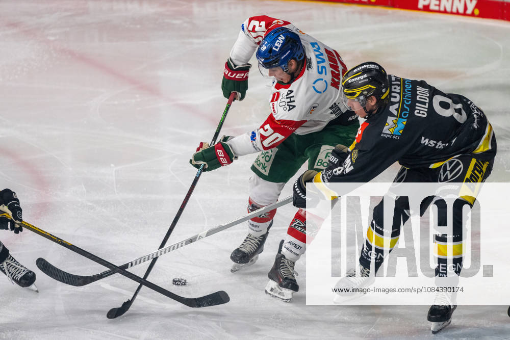 Zweikampf zwischen Philipp Krauss (Augsburger Panther, 20) und Max Gildon (Krefeld Pinguine, 08). Krefeld Pinguine vs. Augsburger Panther, Eishockey, Penny DEL, 08. Spieltag, Saison 2026 2027, 11.10.2026 Krefeld Pinguine vs. Augsburger Panther, Eishockey, Penny DEL, 08. Spieltag, Saison 2026 2027, 11.10.2026 Krefeld