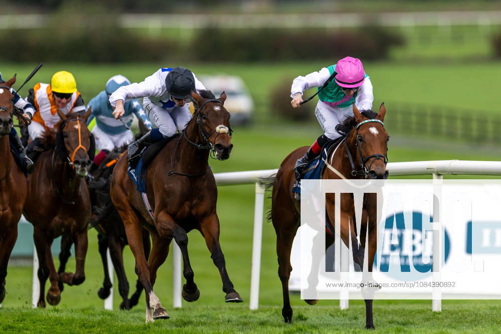 REPRO FREE *PRESS RELEASE NO REPRODUCTION FEE* October Weekend Meeting 2026, Naas Racecourse, Kildare 11 10 2026 Joey Sheridan on Princess Child, nearside, gets the better of Colin Keane on Faiyum to win The Irish Stallion Farms EBF Garnet Stakes (Listed) Joey Sheridan on Princess Child, nearside, gets the better of Colin Keane on Faiyum 11 10 2026