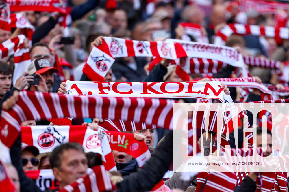 2026.10.11, Fußball, Bundesliga, 1. FC Köln - Borussia Mönchengladbach, RheinEnergieSTADION, 5.Spieltag, Saison 2026 2027: Schals in Rot und Weiss und 1. FC Koeln Aufschrift DFB regulations prohibit any use of photographs as image sequences and or quasi-video. Photo: WilkowskixPressefotoKochx Nordrhein-Westfalen Deutschland