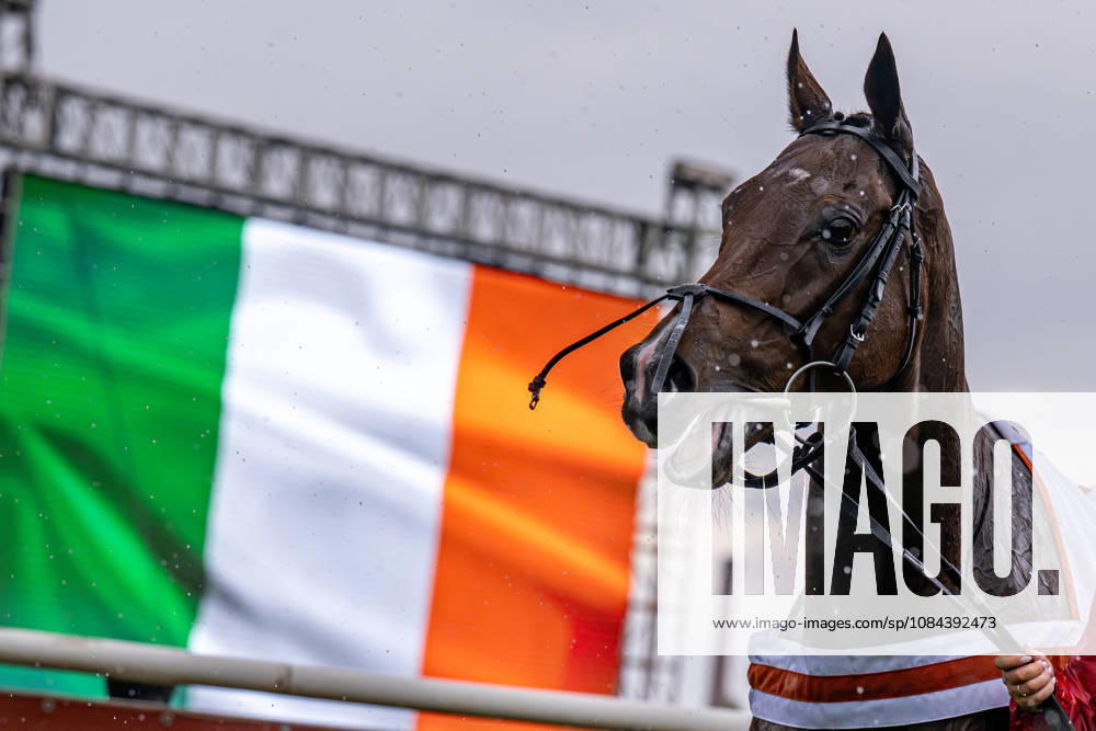 The 136th Grand Pardubice Steeplechase (6,900m), in Pardubice, Czech Republic, on October 11, 2026. This year s race was won by the Irish horse Final Orders. (CTKxPhoto DavidxTanecek) CTKPhotoP2026101105108 CTKPhotoP2026101105108
