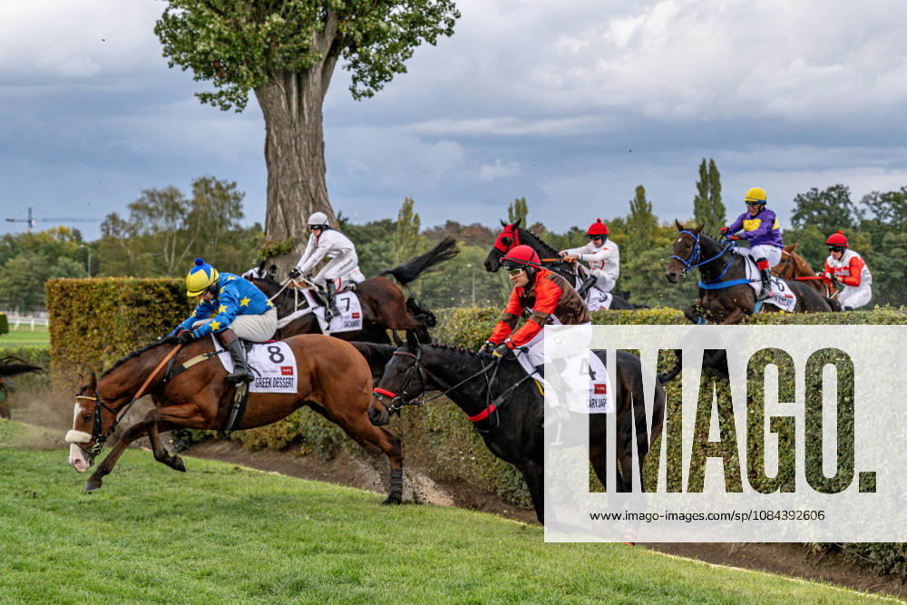 The 136th Grand Pardubice Steeplechase (6,900m), in Pardubice, Czech Republic, on October 11, 2026. From left: James Best on Greek Dessert, Lenka Neprasova on Sacamiro, and Adam Cmiel on Caryjape. (CTKxPhoto DavidxTanecek) CTKPhotoP2026101105181 CTKPhotoP2026101105181