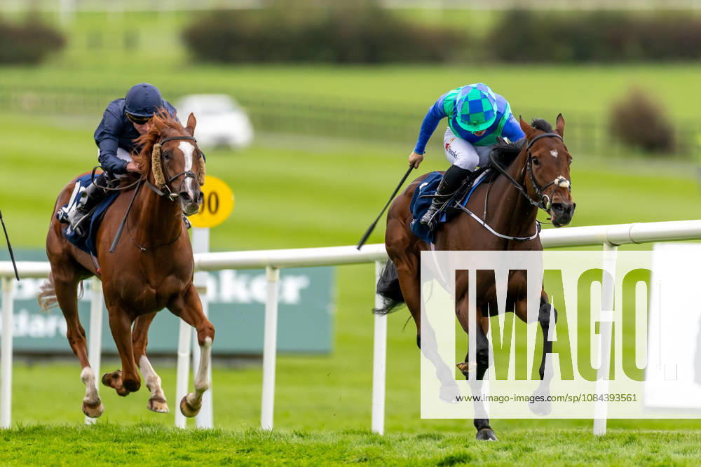 REPRO FREE *PRESS RELEASE NO REPRODUCTION FEE* October Weekend Meeting 2026, Naas Racecourse, Kildare 11 10 2026 Jamie Powell on Snapretend wins The Irish Stallion Farms EBF Bluebell Stakes (Listed) Jamie Powell on Snapretend 11 10 2026