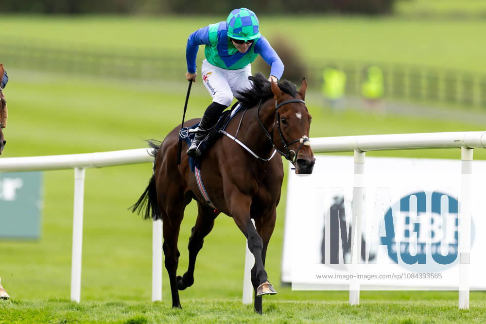 REPRO FREE *PRESS RELEASE NO REPRODUCTION FEE* October Weekend Meeting 2026, Naas Racecourse, Kildare 11 10 2026 Jamie Powell on Snapretend wins The Irish Stallion Farms EBF Bluebell Stakes (Listed) Jamie Powell on Snapretend 11 10 2026