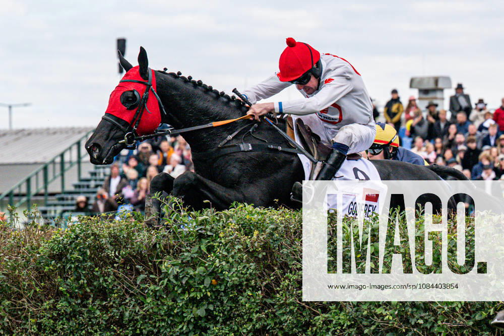 The 136th Grand Pardubice Steeplechase (6,900m), in Pardubice, Czech Republic, on October 11, 2026. Jan Faltejsek riding Godfrey. (CTKxPhoto DavidxTanecek) CTKPhotoP2026101105304 CTKPhotoP2026101105304