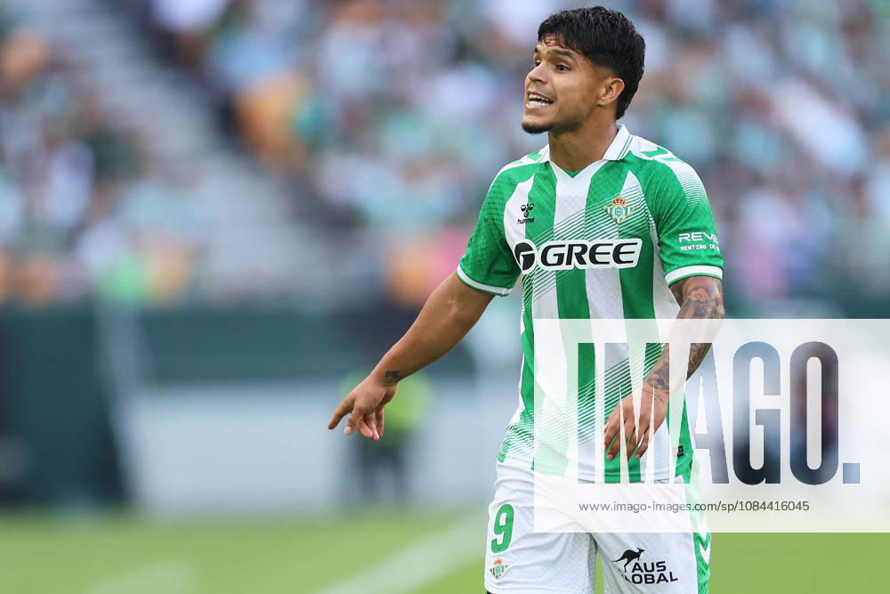 Real Betis and CA Osasuna - LaLiga EA Sports SEVILLA, SPAIN - OCTOBER 11: Cucho Hernandez of Real Betis reacts during the LaLiga EA Sports 2026 27 match between Real Betis and CA Osasuna at La Cartuja Stadium on October 11, 2026 in Sevilla, Spain. (Photo by Rafael Roman Photo Players Images Magara Press) Sevilla La Cartuja Stadium Spain
