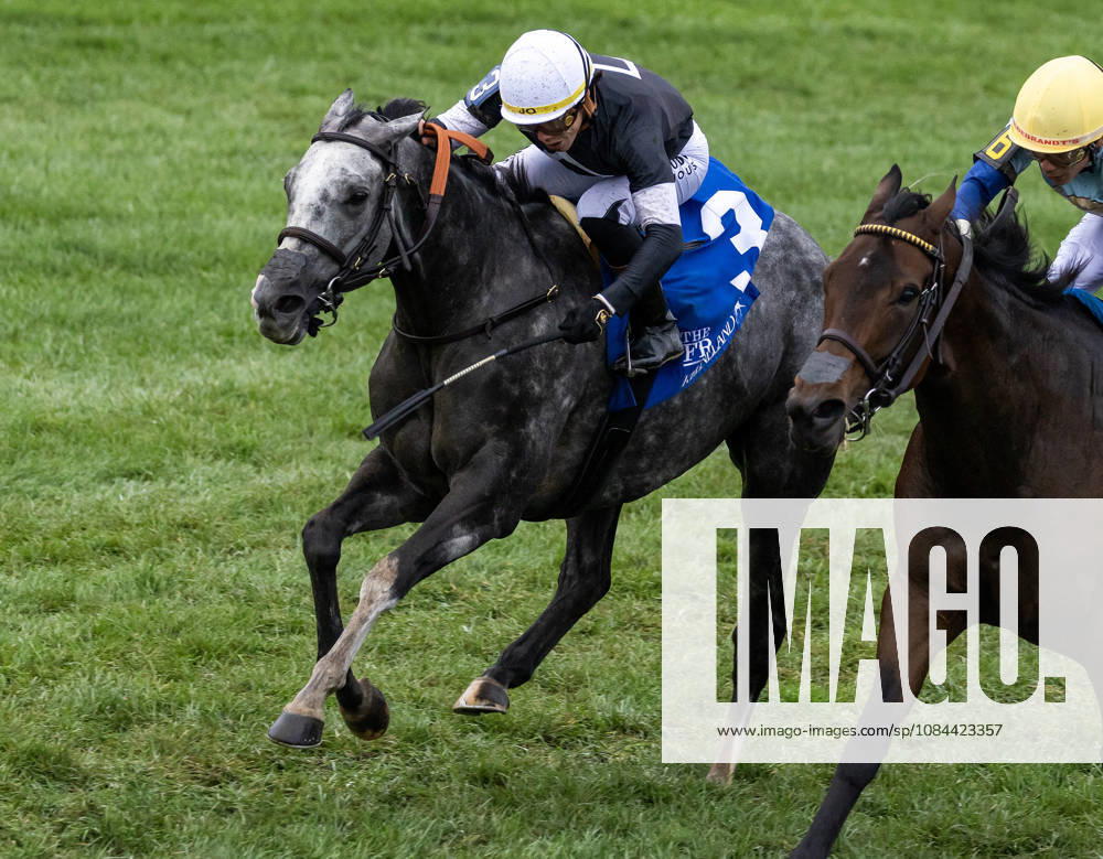 Time to Dazzle (3) ridden by Irad Ortiz Jr wins the Franklin Stakes Day on October 11, 2026. Candice Chavez Eclipse Sportswire CSM HORSE RACING 2026: Franklin Stakes Day Keeneland OCT 11 - ZUMAcs17 20261011_faf_cs17_002