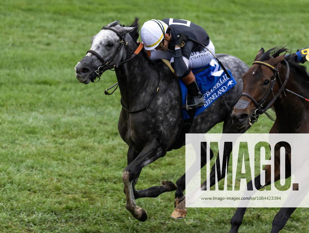 Time to Dazzle (3) ridden by Irad Ortiz Jr wins the Franklin Stakes Day on October 11, 2026. Candice Chavez Eclipse Sportswire CSM Lexington USA - ZUMAcs17 20261011_faf_cs17_004