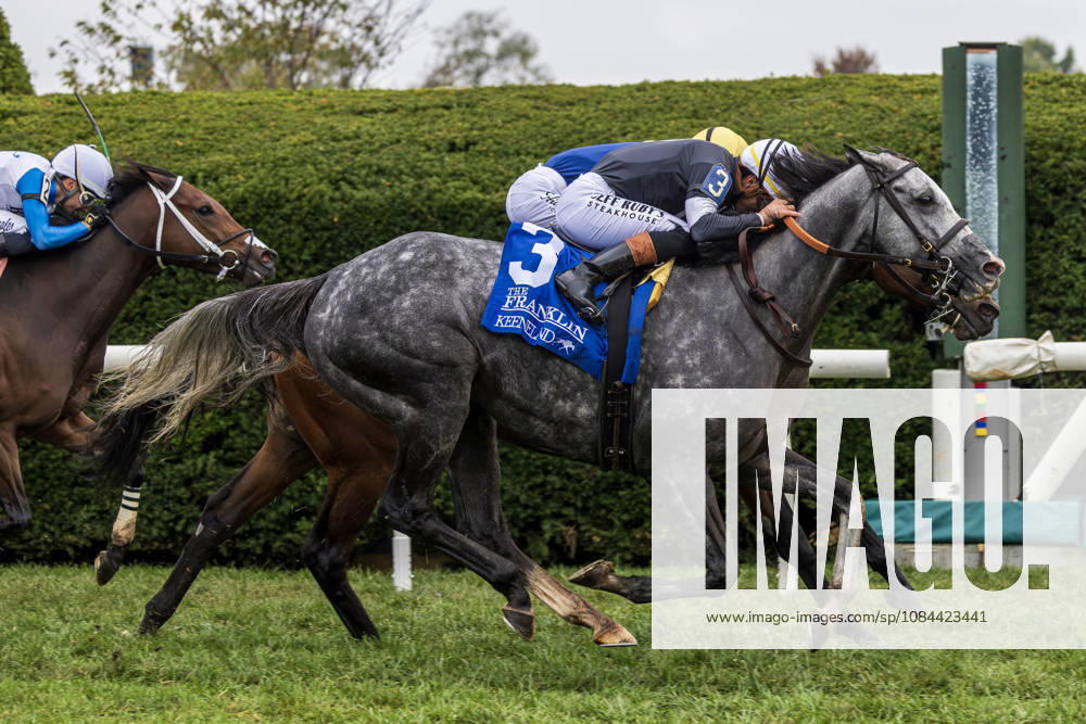 Time to Dazzle (3) ridden by Irad Ortiz Jr. wins the Franklin Stakes at Keeneland Race Course in Lexington, Kentucky on October 11, 2026. Eclipse Sportswire CSM HORSE RACING 2026: Franklin Stakes Day Keeneland OCT 11 - ZUMAcs17 20261011_faf_cs17_008