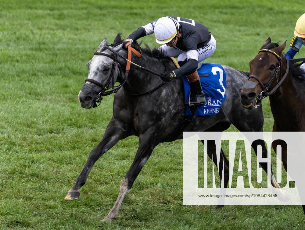 Time to Dazzle (3) ridden by Irad Ortiz Jr wins the Franklin Stakes Day on October 11, 2026. Candice Chavez Eclipse Sportswire CSM Lexington USA - ZUMAcs17 20261011_faf_cs17_003