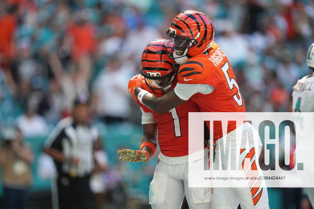 MIAMI GARDENS, FL - OCTOBER 11: Cincinnati Bengals wide receiver Ja marr Chase (1) celebrates his touchdown catch with Cincinnati Bengals wide receiver Tee Higgins (5) during the NFL, American Football Herren, USA game between the Cincinnati Bengals and the Miami Dolphins on Sunday, October 11, 2026 at Hard Rcok Stadium in Miami Gardens, FL (Photo by Peter Joneleit Icon Sportswire) NFL: OCT 11 Bengals at Dolphins Icon2601011043