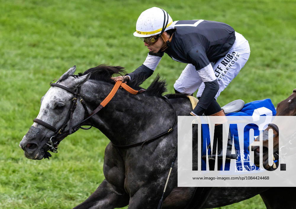 Time to Dazzle (3) ridden by Irad Ortiz Jr wins the Franklin Stakes Day on October 11, 2026. Candice Chavez Eclipse Sportswire CSM HORSE RACING 2026: Franklin Stakes Day Keeneland OCT 11 - ZUMAcs17 20261011_faf_cs17_010