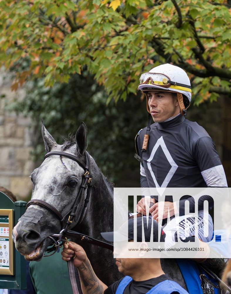 Time to Dazzle (3) ridden by Irad Ortiz Jr wins the Franklin Stakes Day on October 11, 2026. Candice Chavez Eclipse Sportswire CSM HORSE RACING 2026: Franklin Stakes Day Keeneland OCT 11 - ZUMAcs17 20261011_faf_cs17_016