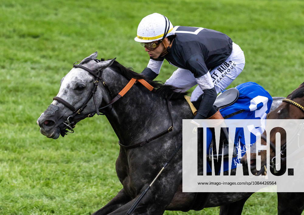 Time to Dazzle (3) ridden by Irad Ortiz Jr wins the Franklin Stakes Day on October 11, 2026. Candice Chavez Eclipse Sportswire CSM Lexington USA - ZUMAcs17 20261011_faf_cs17_009