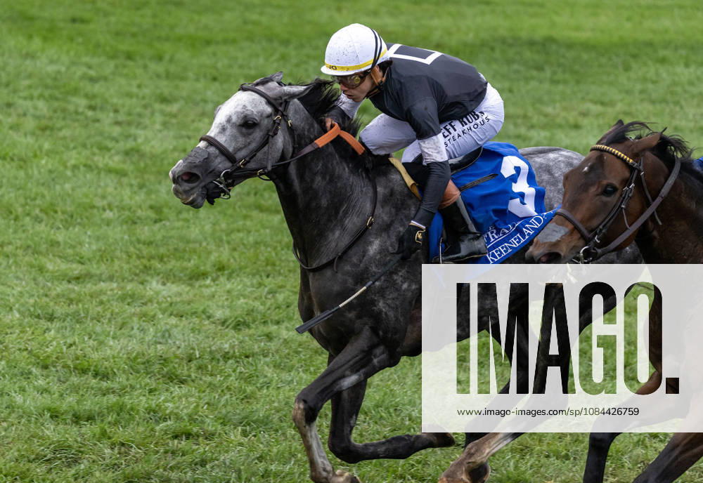 Time to Dazzle (3) ridden by Irad Ortiz Jr wins the Franklin Stakes Day on October 11, 2026. Candice Chavez Eclipse Sportswire CSM Lexington USA - ZUMAcs17 20261011_faf_cs17_012