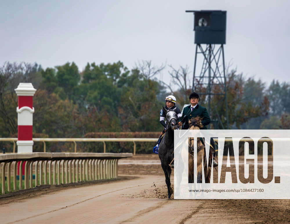 Time to Dazzle (3) ridden by Irad Ortiz Jr wins the Franklin Stakes on Franklin Stakes Day on October 11, 2026. Candice Chavez Eclipse Sportswire CSM HORSE RACING 2026: Franklin Stakes Day Keeneland OCT 11 - ZUMAcs17 20261011_faf_cs17_022
