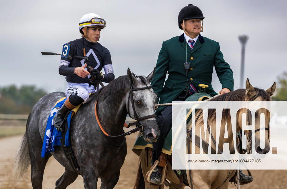 Time to Dazzle (3) ridden by Irad Ortiz Jr wins the Franklin Stakes Day on October 11, 2026. Candice Chavez Eclipse Sportswire CSM Lexington USA - ZUMAcs17 20261011_faf_cs17_015