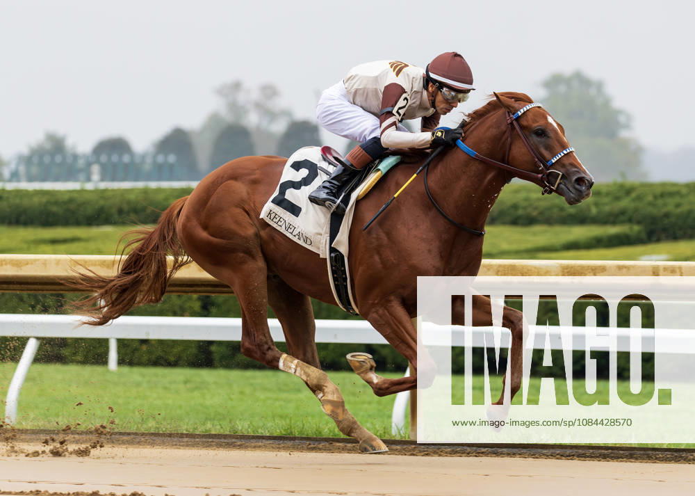 Fleetfoot Mac (2) ridden by Emmanuel Esquivel wins a maiden on Franklin Stakes Day on October 11, 2026. Candice Chavez Eclipse Sportswire CSM Lexington USA - ZUMAcs17 20261011_faf_cs17_021