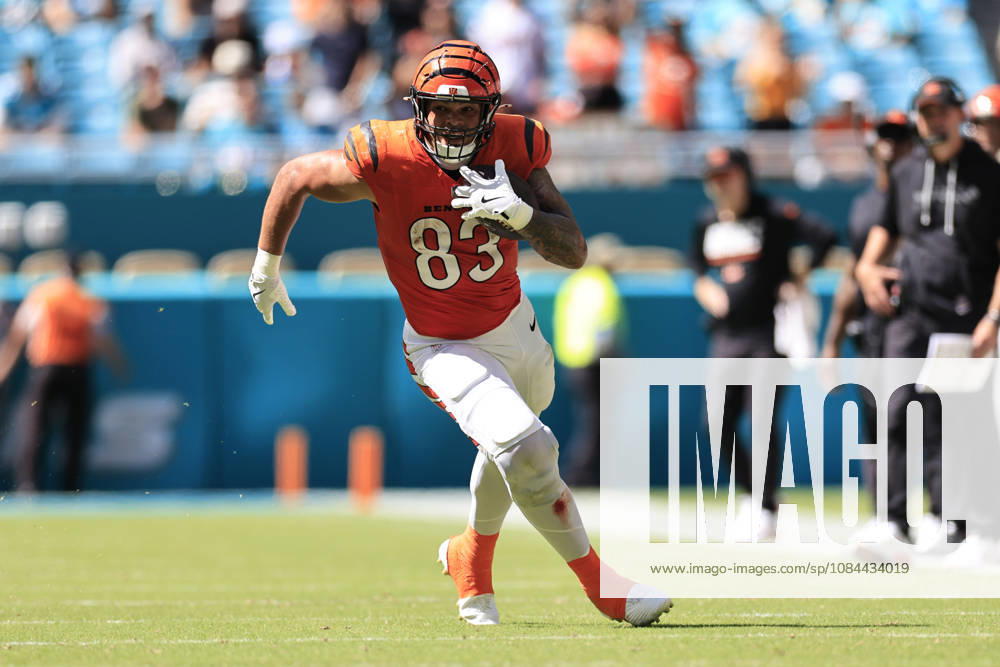 Cincinnati Bengals tight end Erick All Jr. (83) makes a reception and runs with the ball during an NFL, American Football Herren, USA game against the Miami Dolphins on Sunday, October 11, 2026 at the Hard Rock Stadium. The Bengals beat the Dolphins 31-24. NFL 2026: Cincinnati Bengals 31 : 24 Miami Dolphins - ZUMAh180 20261011_zsp_h180_063