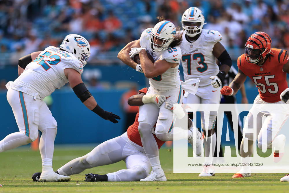 Miami Dolphins tight end Greg Dulcich (85) makes a reception and runs with the ball during an NFL, American Football Herren, USA game against the Cincinnati Bengals on Sunday, October 11, 2026 at the Hard Rock Stadium. The Bengals beat the Dolphins 31-24. Miami Gardens United States - ZUMAh180 20261011_zsp_h180_038