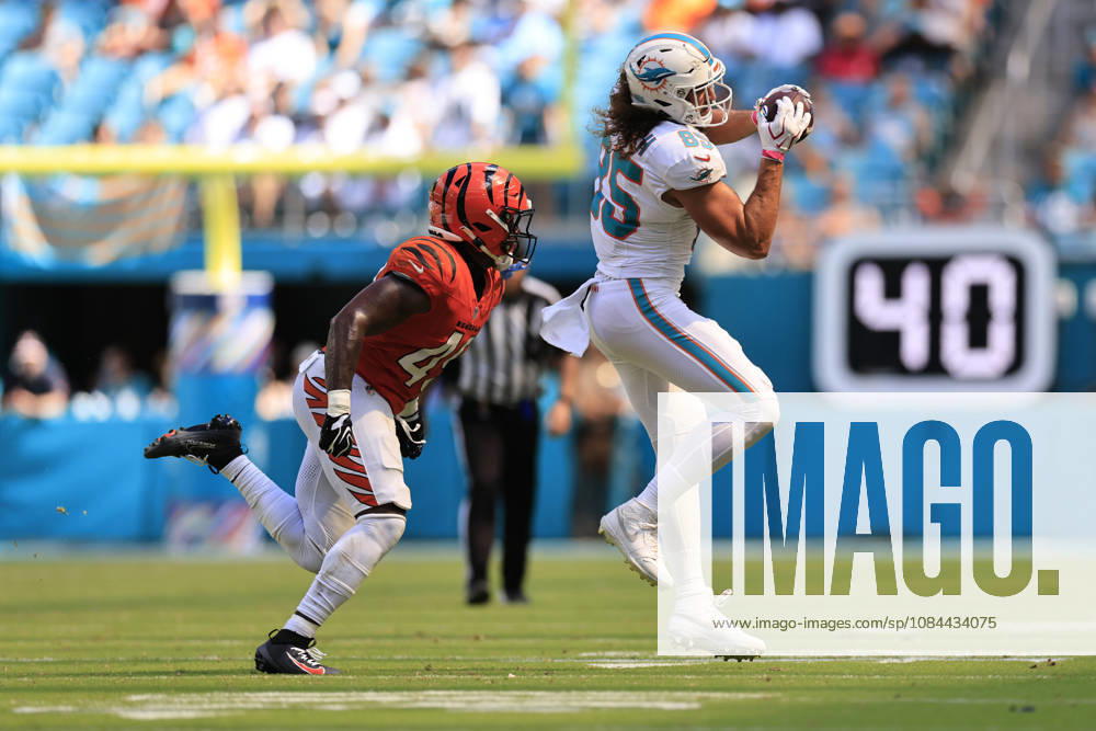 Miami Dolphins tight end Greg Dulcich (85) makes a reception and turns to run with the ball while pursued by Cincinnati Bengals linebacker Barrett Carter (49) during an NFL, American Football Herren, USA game on Sunday, October 11, 2026 at the Hard Rock Stadium. The Bengals beat the Dolphins 31-24. NFL 2026: Cincinnati Bengals 31 : 24 Miami Dolphins - ZUMAh180 20261011_zsp_h180_086