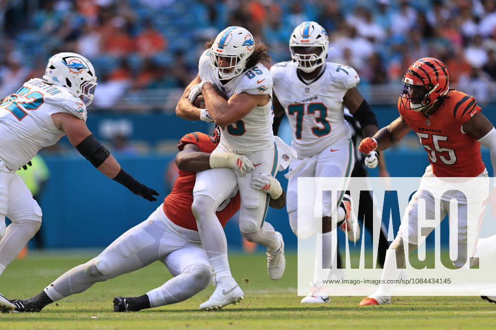 Miami Dolphins tight end Greg Dulcich (85) makes a reception and runs with the ball during an NFL, American Football Herren, USA game against the Cincinnati Bengals on Sunday, October 11, 2026 at the Hard Rock Stadium. The Bengals beat the Dolphins 31-24. NFL 2026: Cincinnati Bengals 31 : 24 Miami Dolphins - ZUMAh180 20261011_zsp_h180_099