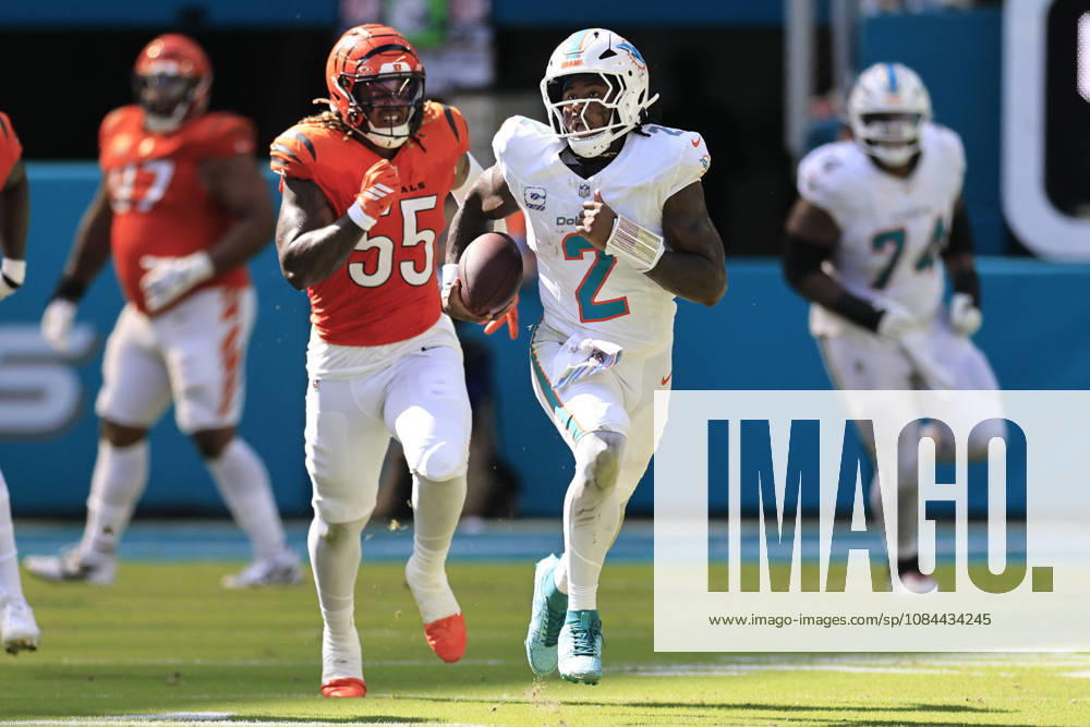 Miami Dolphins quarterback Malik Willis (2) runs with the ball while pursued by Cincinnati Bengals defensive end Cashius Howell (55) during an NFL, American Football Herren, USA game on Sunday, October 11, 2026 at the Hard Rock Stadium. The Bengals beat the Dolphins 31-24. Miami Gardens United States - ZUMAh180 20261011_zsp_h180_106