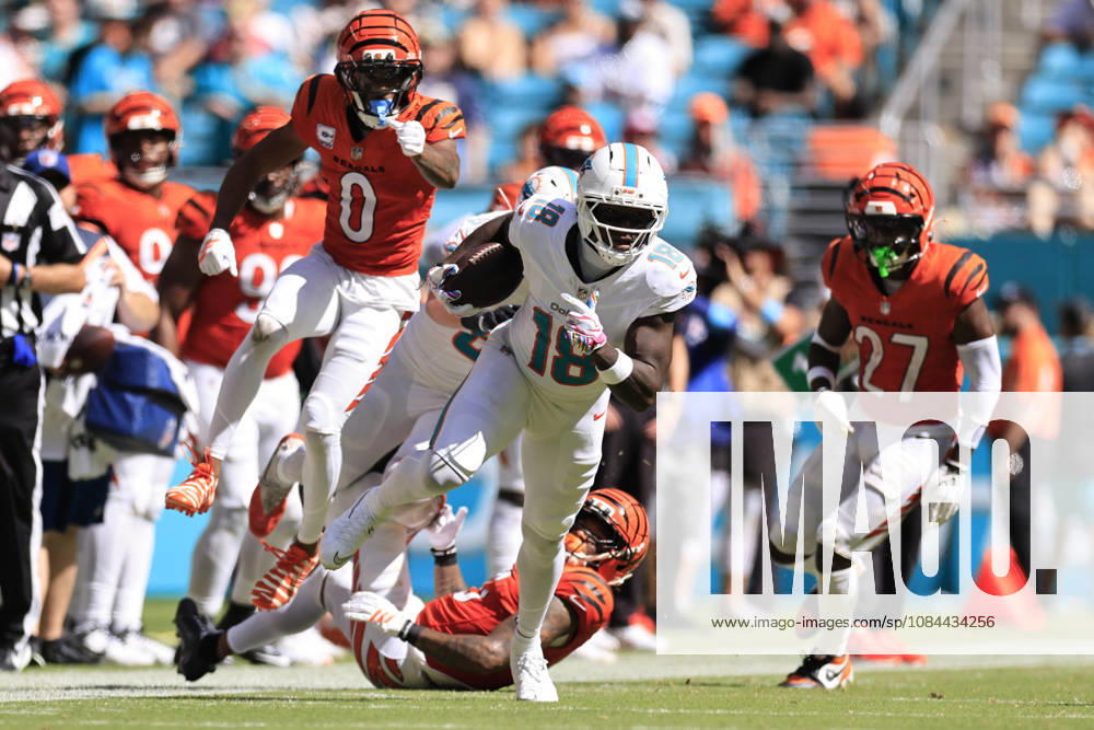 Miami Dolphins wide receiver Chris Bell (18) makes a reception and turns to run with the ball during an NFL, American Football Herren, USA game against the Cincinnati Bengals on Sunday, October 11, 2026 at the Hard Rock Stadium. The Bengals beat the Dolphins 31-24. Miami Gardens United States - ZUMAh180 20261011_zsp_h180_109