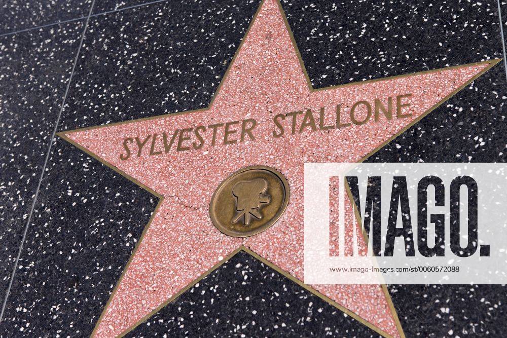Sylvester Stallone ILLUSTRATIONS : Hollywood Walk of Fame - Los Angeles - 04 10 2013 ChrisElise Panoramic