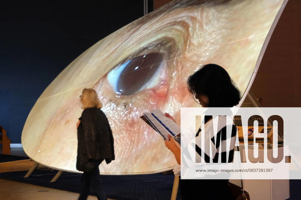 Frankfurt am Main, DEU, Frankfurter Buchmesse. Blick in den Pavillion des Gastlandes Philippinen, Eine junge Frau blaettert in einer Broschuere