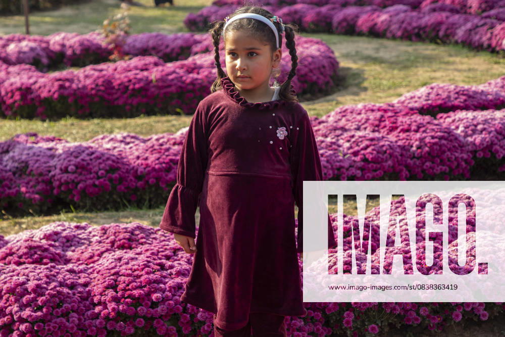 People stroll through the newly opened Chrysanthemum Garden at the Botanical Garden in Srinagar. Surrounded by a vibrant display of hundreds of blooming varieties, the garden has begun captivating visitors and nature lovers amid the autumn season. The government-backed initiative aims to boost tourism in the Himalayan region, badly hit after the deadly Pahalgam attack that killed 26 Indian Hindu tourists. The colorful garden adds fresh charm to the citys scenic landscape and underscores efforts to promote eco-tourism in Jammu and Kashmir. Srinagar India - ZUMAs197 20251028_aaa_s197_001