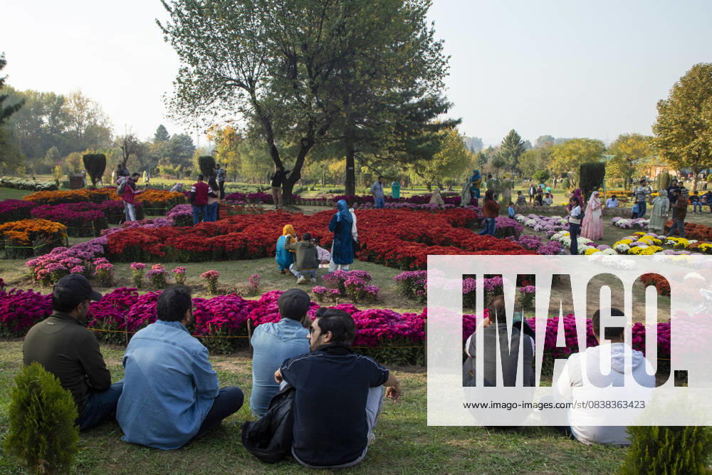 People rest inside the newly opened Chrysanthemum Garden in Srinagar. Surrounded by a vibrant display of hundreds of blooming varieties, the garden has begun captivating visitors and nature lovers amid the autumn season. The government-backed initiative aims to boost tourism in the Himalayan region, badly hit after the deadly Pahalgam attack that killed 26 Indian Hindu tourists. The colorful garden adds fresh charm to the citys scenic landscape and underscores efforts to promote eco-tourism in Jammu and Kashmir. Srinagar India - ZUMAs197 20251028_aaa_s197_005