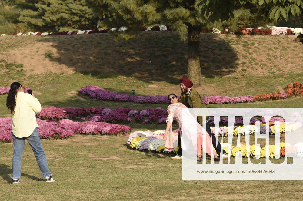People take pictures inside the newly opened Chrysanthemum Garden at the Botanical Garden in Srinagar. The Chrysanthemum Garden in Srinagar, showcasing hundreds of blooming varieties, has begun drawing visitors and nature lovers amid the autumn season. The government-backed initiative aims to revive tourism in the Himalayan region following the deadly Pahalgam attack that claimed 26 lives. The vibrant display adds renewed charm to the city s landscape and highlights ongoing efforts to promote eco-tourism in Jammu and Kashmir. Srinagar India - ZUMAz120 20251027_zip_z120_020
