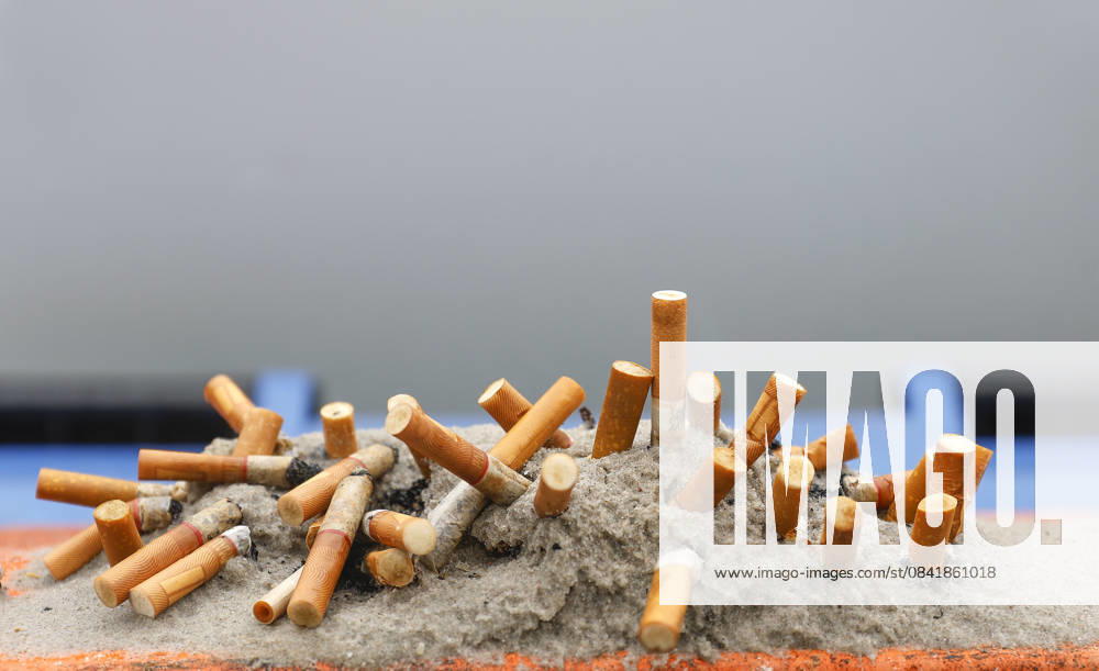 Zigaretten Nahaufnahme von Zigarettenstummeln, die in Asche und Sand stecken, 27.11.2025. Scharbeutz Schleswig-Holstein Deutschland