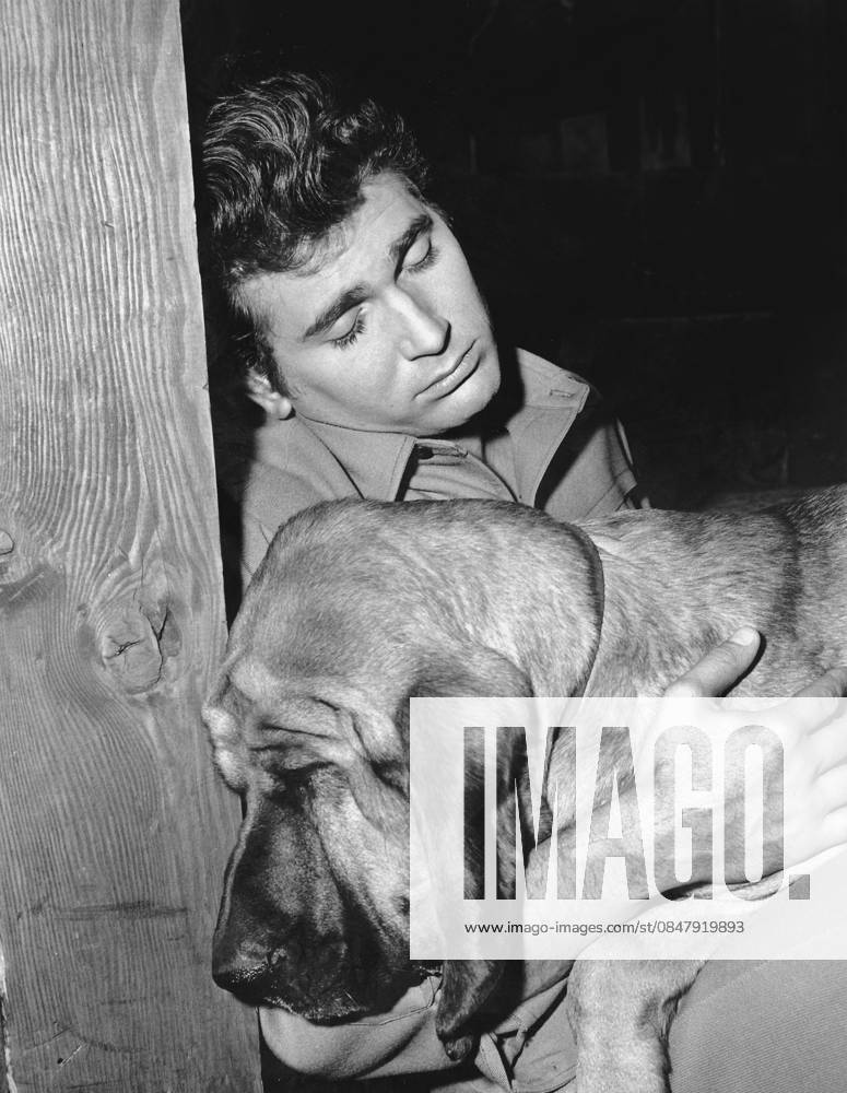 Bonanza Michael Landon in Hound Dog 1965 **I.V.