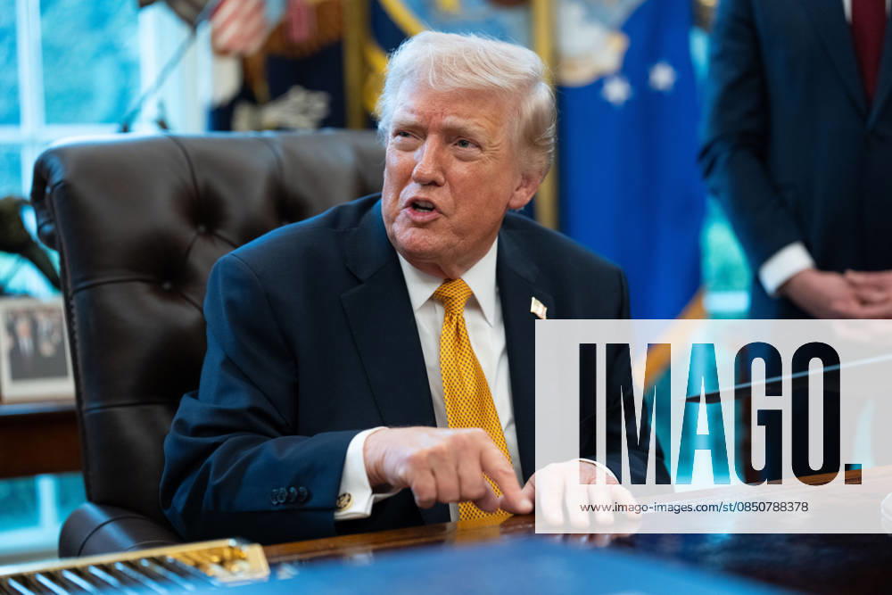 President Donald Trump gives remarks to the media as he signs an executive order in the Oval Office of the White House in Washington, DC on Monday, March 16, 2026. The order will formally launch a task force, led by Vice President JD Vance, to investigate fraud nationwide. WAP20260316016 AARONxSCHWARTZ