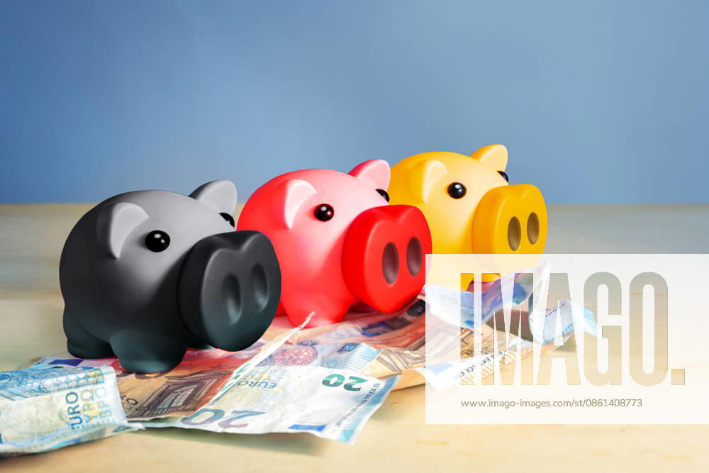 Drei Sparschweine in den Farben der deutschen Flagge ? Schwarz, Rot und Gold ?, die auf Euro-Banknoten stehen; Konzept und Symbol für die Sparmaßnahmen der Regierung; Platz für Text Three piggy banks in the colors of the German flag, black, red, gold, standing on euro banknotes, concept and symbol of the austerity measures by the government, copy space, selected focus (License=RF)