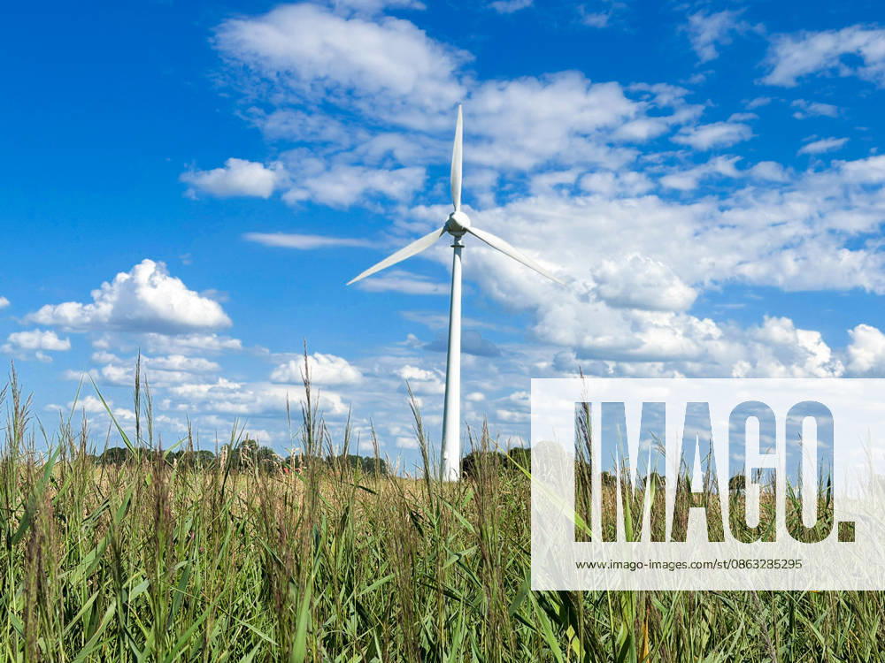 Windkraftanlage in ländlicher Landschaft mit hohem Schilfgras unter blauem Himmel und markanten Quellwolken. Symbolbild für Windenergie, erneuerbare Energien, Energiewende, Klimaschutz, Stromerzeugung, nachhaltige Energieversorgung, Umwelt, Infrastruktur, Landwirtschaft, Natur, ländlicher Raum, Sommer, Weitwinkel, Totale, Windpark, Energiepolitik, Ökostrom. Dornum Niedersachsen Deutschland