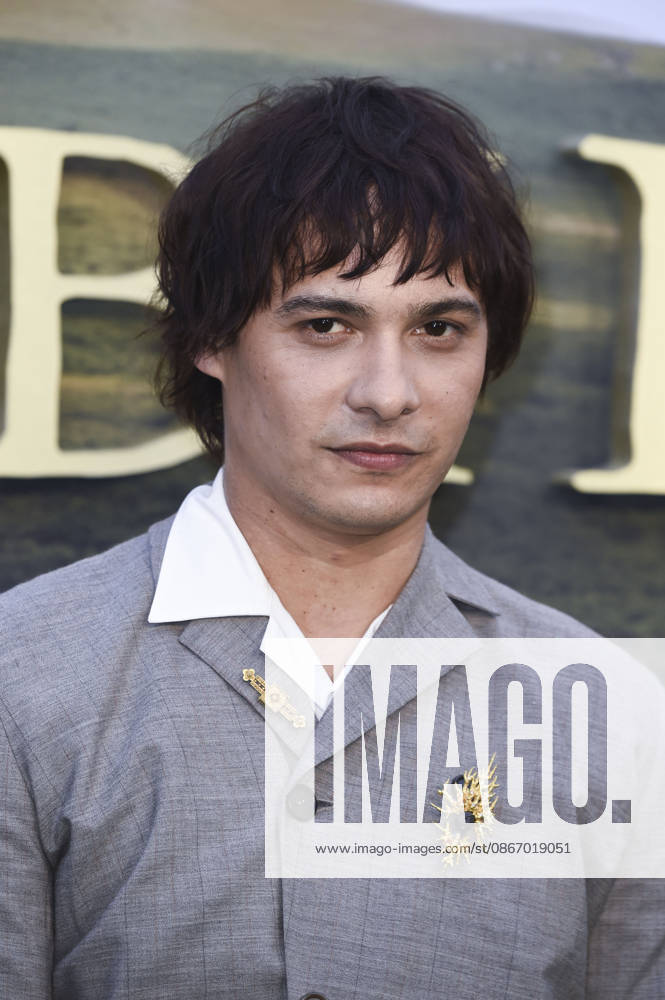 Frank Dillane bei der Premiere des Kinofilms Sense and Sensibility Sinn und Sinnlichkeit im Odeon Luxe Leicester Square. London