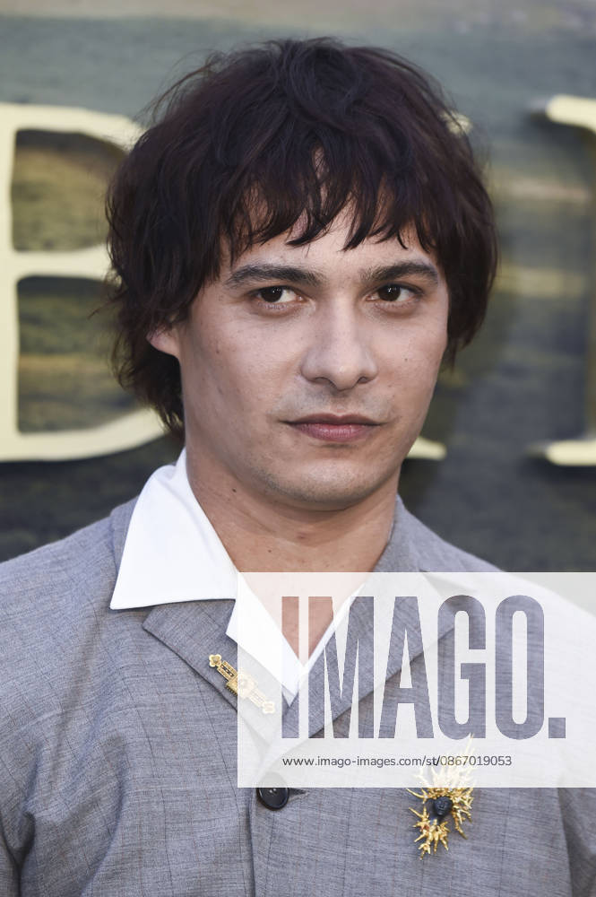 Frank Dillane bei der Premiere des Kinofilms Sense and Sensibility Sinn und Sinnlichkeit im Odeon Luxe Leicester Square. London