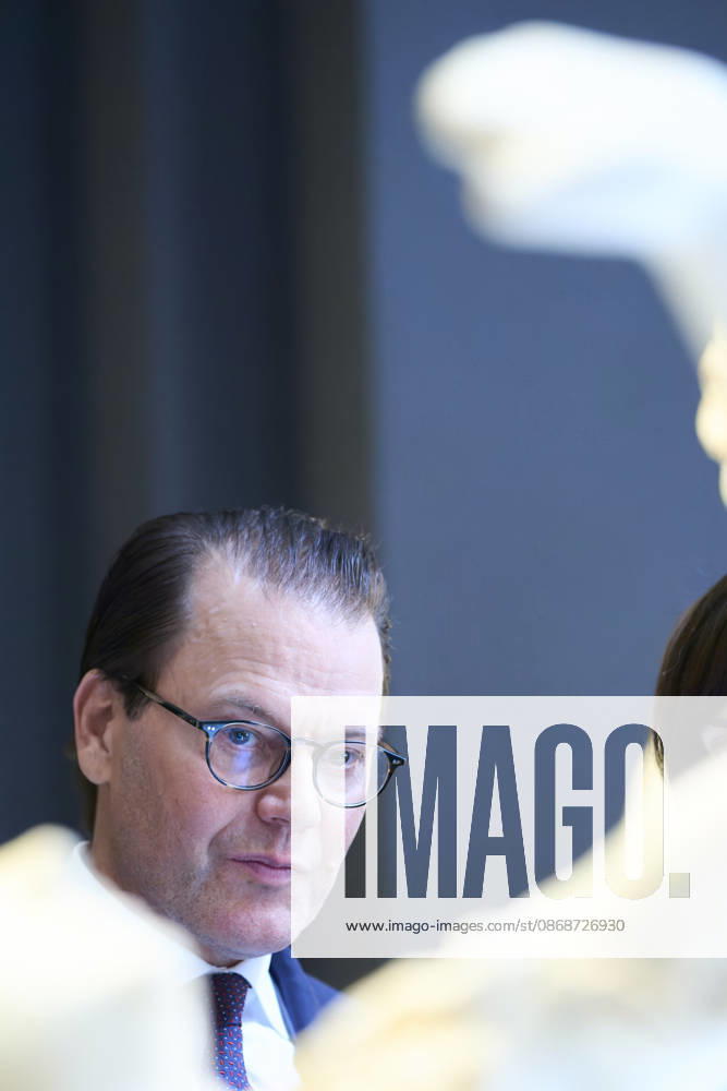 Museum Prince Daniel of Sweden attended the re-inauguration of Queen Christinas sculpture collection at the Museo del Prado, Madrid. No Spain Â