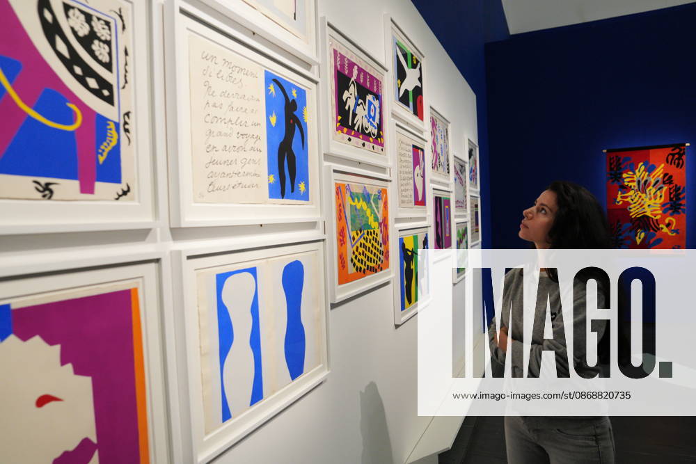 IPA89394375 - Milan, October 7, 2026, Preview of the exhibition Matisse: The World in a Room 2 at Mudec, Museum of Cultures