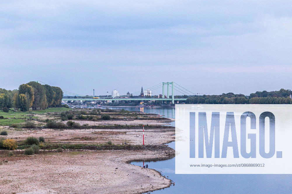 Niedrigwasser am Rhein: Trockenes Flussbett vor der Rodenkirchener Brücke (A4) - 07.10.26 Blick von der Eisenbahn-Südbrücke in Köln rheinaufwärts Richtung Süden auf die Rodenkirchener Autobahnbrücke (A4). Im Vordergrund liegt das Flussbett großflächig trocken. Der Pegel Köln liegt mit 43 cm auf Rekordniveau, nur wenig über dem Tiefstwert von 40 cm. Ab Donnerstag leitet eine Regenfront den Herbst ein und bringt den Pegeln erste Entspannung. Köln Südbrücke Nordrhein-Westfalen Deutschland