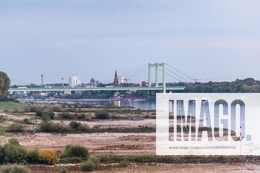 Niedrigwasser am Rhein: Trockenes Flussbett vor der Rodenkirchener Brücke (A4) - 07.10.26 Blick von der Eisenbahn-Südbrücke in Köln rheinaufwärts Richtung Süden auf die Rodenkirchener Autobahnbrücke (A4). Im Vordergrund liegt das Flussbett großflächig trocken. Der Pegel Köln liegt mit 43 cm auf Rekordniveau, nur wenig über dem Tiefstwert von 40 cm. Ab Donnerstag leitet eine Regenfront den Herbst ein und bringt den Pegeln erste Entspannung. Köln Südbrücke Nordrhein-Westfalen Deutschland