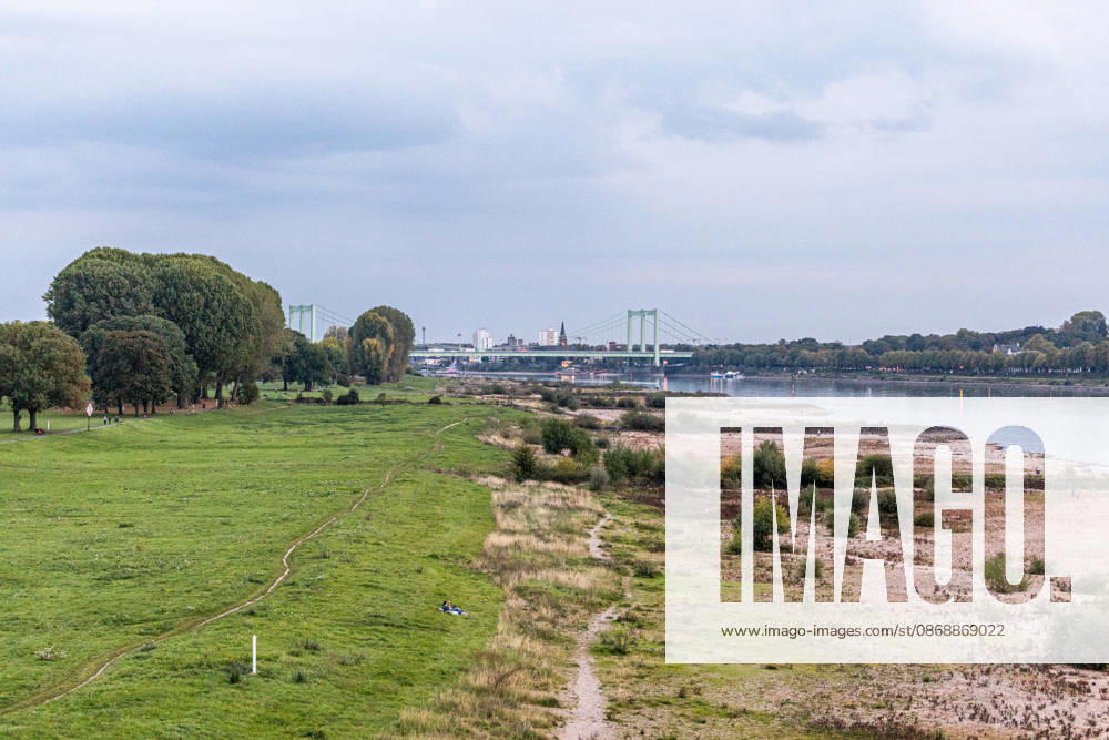 Niedrigwasser am Rhein: Trockenes Flussbett vor der Rodenkirchener Brücke (A4) - 07.10.26 Blick von der Eisenbahn-Südbrücke in Köln rheinaufwärts Richtung Süden auf die Rodenkirchener Autobahnbrücke (A4). Im Vordergrund liegt das Flussbett großflächig trocken. Der Pegel Köln liegt mit 43 cm auf Rekordniveau, nur wenig über dem Tiefstwert von 40 cm. Ab Donnerstag leitet eine Regenfront den Herbst ein und bringt den Pegeln erste Entspannung. Köln Südbrücke Nordrhein-Westfalen Deutschland