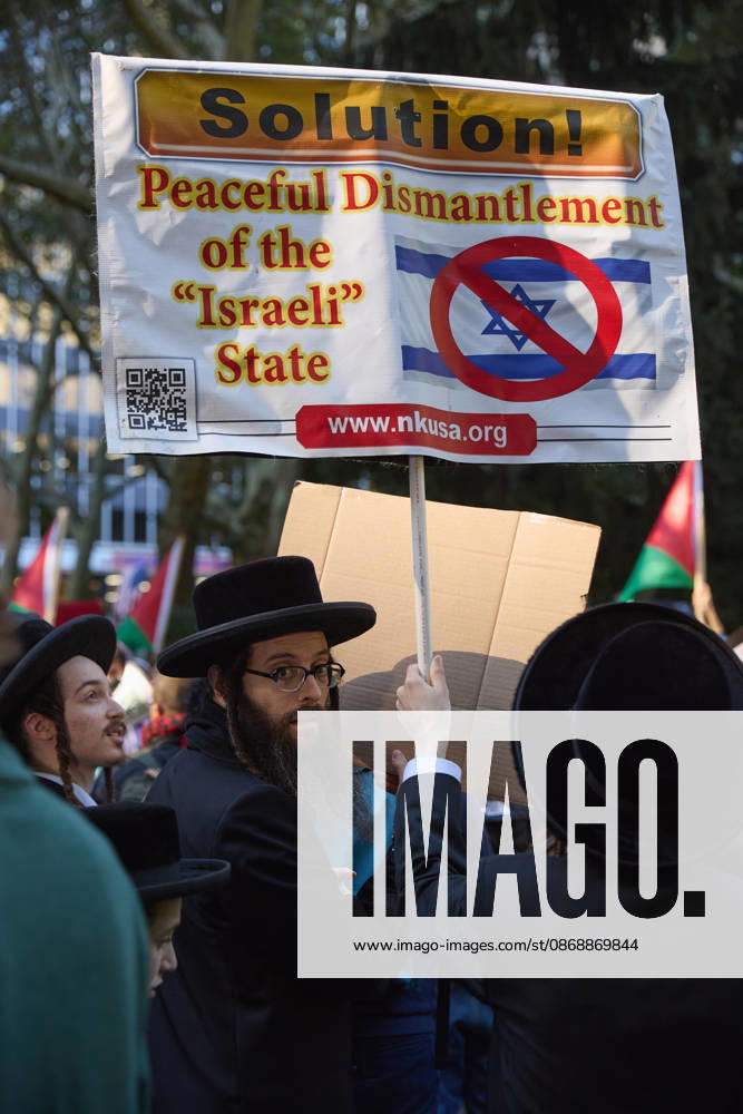 A protester holds a sign calling for the peaceful dismantlement of the Israeli state during a pro-Palestinian rally at City Hall Park in New York City, New York. New York USA - ZUMAs237 20261007_aap_s237_001