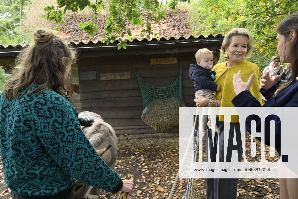 Queen Mathilde Visits Winners Of the 2026 Queen Mathilde Prize GREZ-DOICEAU, BELGIUM - OCTOBER 08: Queen Mathilde of Belgium pictured visiting two organizations that won the 2026 Queen Mathilde Prize : Vzw Alba, on October 08, 2026 in Grez-Doiceau, Belgium, 08 10 2026 Grez-Doiceau Belgium